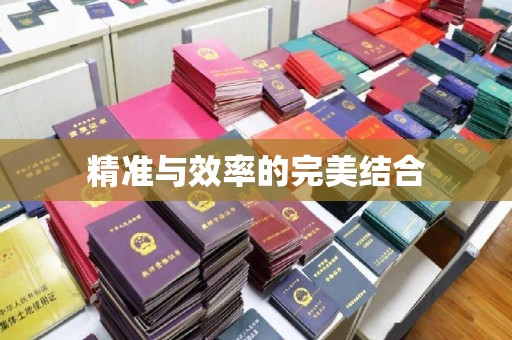梅列精准与效率的完美结合